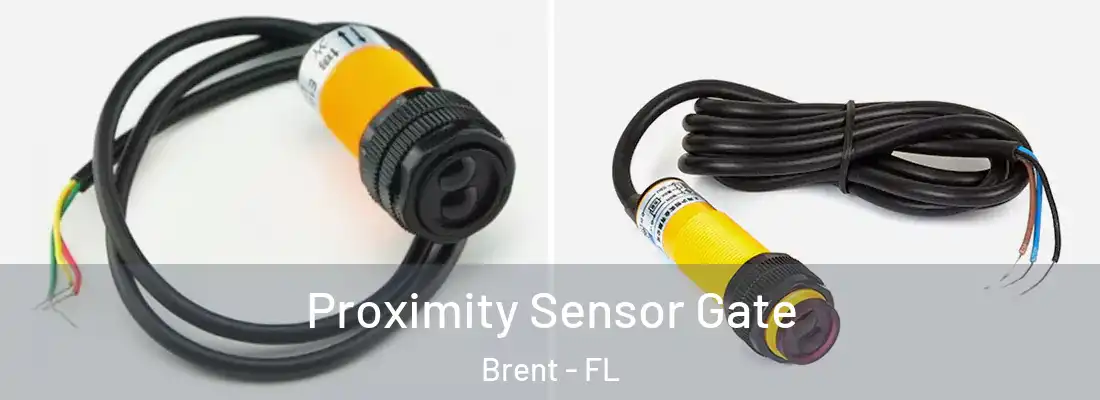  Proximity Sensor Gate Brent - FL